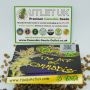 TGA Seeds Cannabis Strain Dairy Queen Regular Marijuana Seeds Original Collector Souvenir Authentic Packaging Packs