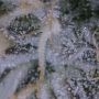 Blue OG Feminized by G13 Labs THC Content Potency Strength CBD Height Yield Flowering Time Indica Sativa Genetics