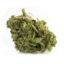 Flash Seeds White Sirius Auto Smoke Buds Weed Ganja Skunk Dope Pot Images Pics Nuggets