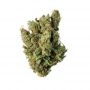 Bomb Seeds Medi Bomb No.2 Smoke Buds Weed Ganja Skunk Dope Pot Images Pics Nuggets