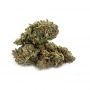 Zambeza Seeds Rocket Banana Smoke Buds Weed Ganja Skunk Dope Pot Images Pics Nuggets