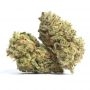 White Label Super Skunk Smoke Buds Weed Ganja Skunk Dope Pot Images Pics Nuggets