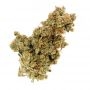 World of Seeds Star 47 Smoke Buds Weed Ganja Skunk Dope Pot Images Pics Nuggets