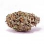 Vision Seeds Nicole x OG Smoke Buds Weed Ganja Skunk Dope Pot Images Pics Nuggets
