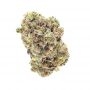 Vision Seeds Blue Power Smoke Buds Weed Ganja Skunk Dope Pot Images Pics Nuggets