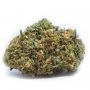 Sweet Seeds NYC Diesel (Ice Cool) Auto Smoke Buds Weed Ganja Skunk Dope Pot Images Pics Nuggets