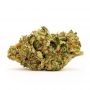 Super CBDx White Widow x SCBDX Smoke Buds Weed Ganja Skunk Dope Pot Images Pics Nuggets