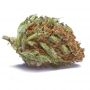 Soma Seeds Reclining Buddha Smoke Buds Weed Ganja Skunk Dope Pot Images Pics Nuggets