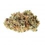 Short Stuff Stardawg Auto Smoke Buds Weed Ganja Skunk Dope Pot Images Pics Nuggets