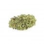 Sensi Seed Bank Durban Smoke Buds Weed Ganja Skunk Dope Pot Images Pics Nuggets