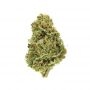 Seedsman Mama Thai Smoke Buds Weed Ganja Skunk Dope Pot Images Pics Nuggets