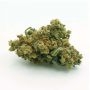 Seedmakers Cheex Smoke Buds Weed Ganja Skunk Dope Pot Images Pics Nuggets