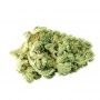 Sagarmatha Seeds Slyder Auto Smoke Buds Weed Ganja Skunk Dope Pot Images Pics Nuggets