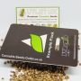 Pyramid Seeds Cannabis Strain Tutankhamon Feminized Marijuana Seeds Original Collector Souvenir Authentic Packaging Packs