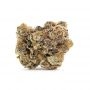 Pyramid Seeds Do Si Dos Smoke Buds Weed Ganja Skunk Dope Pot Images Pics Nuggets