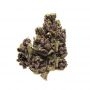 Purple Caper Flo OG Smoke Buds Weed Ganja Skunk Dope Pot Images Pics Nuggets