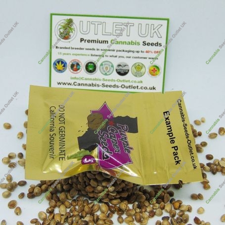 Cookie Lady Regular Marijuana Strain by Purple Caper For Sale Online at Cannabis Seeds Outlet