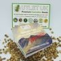 Plantformers Cannabis Strain MR-X Kush Regular Marijuana Seeds Original Collector Souvenir Authentic Packaging Packs