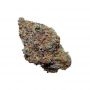 Original Sensible Seeds Black Ghost OG Smoke Buds Weed Ganja Skunk Dope Pot Images Pics Nuggets