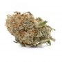 Ministry of Cannabis Cream NL Auto Smoke Buds Weed Ganja Skunk Dope Pot Images Pics Nuggets