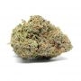 Medicann Blue Mountain Durban Smoke Buds Weed Ganja Skunk Dope Pot Images Pics Nuggets