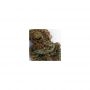 Medical Seeds Co Y Griega Smoke Buds Weed Ganja Skunk Dope Pot Images Pics Nuggets