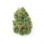 Silver Widow Feminized by Kannabia THC Content Potency Strength CBD Height Yield Flowering Time Indica Sativa Genetics