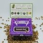 Kalashnikov Seeds Cannabis Strain Purple Russian Express Feminized Marijuana Seeds Original Collector Souvenir Authentic Packagi