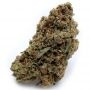Growers Choice Monsterbud Auto Smoke Buds Weed Ganja Skunk Dope Pot Images Pics Nuggets