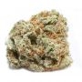 Growers Choice Critical + Automatic Smoke Buds Weed Ganja Skunk Dope Pot Images Pics Nuggets
