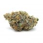 Growers Choice Blue Dream Sherbet Smoke Buds Weed Ganja Skunk Dope Pot Images Pics Nuggets