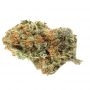 Greenhouse Seeds NL Auto Smoke Buds Weed Ganja Skunk Dope Pot Images Pics Nuggets