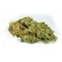 Greenhouse Seeds Big Bang Auto Smoke Buds Weed Ganja Skunk Dope Pot Images Pics Nuggets