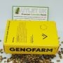 Genofarm Cannabis Strain Medicritical Feminized Marijuana Seeds Original Collector Souvenir Authentic Packaging Packs
