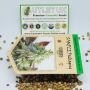 Garden of Green Cannabis Strain Super Skunk Auto Feminized Marijuana Seeds Original Collector Souvenir Authentic Packaging Packs