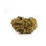 Female Seeds NL Speed Bud Auto Smoke Buds Weed Ganja Skunk Dope Pot Images Pics Nuggets