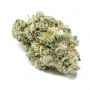 Expert Seeds Critical Gorilla Smoke Buds Weed Ganja Skunk Dope Pot Images Pics Nuggets