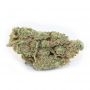 Emerald Triangle G13 Blueberry Headband Smoke Buds Weed Ganja Skunk Dope Pot Images Pics Nuggets