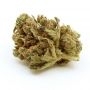 Emerald Triangle Emerald Jack Smoke Buds Weed Ganja Skunk Dope Pot Images Pics Nuggets