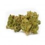Cannabis Seeds Outlet Weed Strain Yumbolt Feminized Marijuana Seeds Original Collector Souvenir Authentic Packaging Packs
