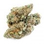 Dutch Passion Californian Orange Smoke Buds Weed Ganja Skunk Dope Pot Images Pics Nuggets