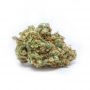 Dutch Passion Euforia Auto Smoke Buds Weed Ganja Skunk Dope Pot Images Pics Nuggets