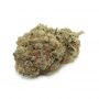Dispensario Seeds Cinderella Punch Smoke Buds Weed Ganja Skunk Dope Pot Images Pics Nuggets