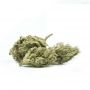 Dinafem Seeds White Widow CBD Auto Smoke Buds Weed Ganja Skunk Dope Pot Images Pics Nuggets