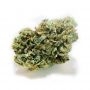 Dinafem Seeds Quick Gorilla Smoke Buds Weed Ganja Skunk Dope Pot Images Pics Nuggets
