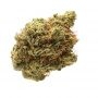 Devils Harvest Golden Haze Smoke Buds Weed Ganja Skunk Dope Pot Images Pics Nuggets