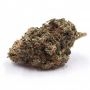 Devils Harvest Casey Jones Smoke Buds Weed Ganja Skunk Dope Pot Images Pics Nuggets