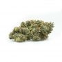 Delicious Seeds Unknown Kush Smoke Buds Weed Ganja Skunk Dope Pot Images Pics Nuggets