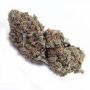 La Diva Automatic Feminized by Delicious Seeds THC Content Potency Strength CBD Height Yield Flowering Time Indica Sativa Geneti