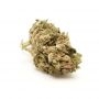 De Sjamaan Seeds White Skunk Smoke Buds Weed Ganja Skunk Dope Pot Images Pics Nuggets